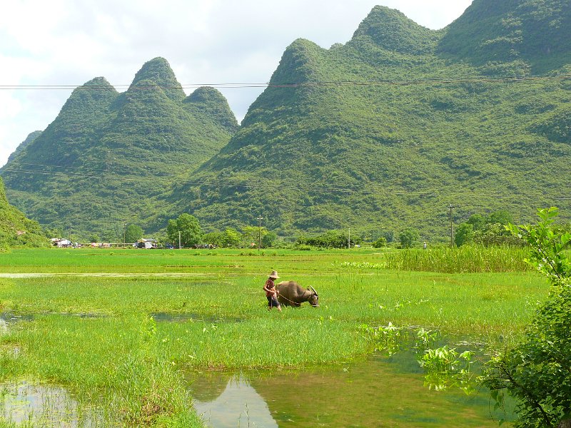 Yangshou (047).jpg
